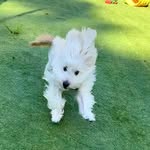 Super Bibili Boy - @hello___tarachang - Instagram