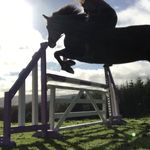 Tara & Molly: Team Trolly😂😘 - @old.cheeky.jumping.tara - Instagram