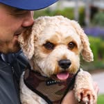 Chestnut and Montara - @chestnutandmontara - Instagram