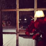 Tara Clement - @orwronisb785 - Instagram