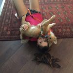 Tara Clements - @tara_clements1 - Instagram