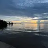 Clover hz - @cloverhoneykaltara - TikTok