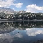 Tara Danielski Clover - @taraclover1 - Instagram
