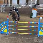 Tara Coffey - @cnocruahorses - Instagram
