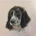 Tara Collier - Facebook