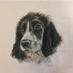 Tara Collier - @tcollier1 - Instagram