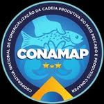 Cooperativa de Trabalho e Comercialização +Pescado - @conamapbr - Instagram