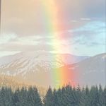 Tara - @coppertara - Instagram