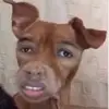 Tarah~🤍 - @tarahcoyne - TikTok
