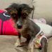 Tara Crabtree - Facebook
