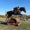 Tara Craddock - @tara.craddock - TikTok