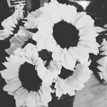 Tara Cravens - @sunflow3r1990 - Instagram