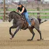 TLC77 - @taracrider2 - TikTok