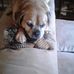 Tara Criswell - Facebook