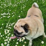 Tara Uszko - @tara_croft_ - Instagram