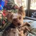 Terry Crossland - Facebook