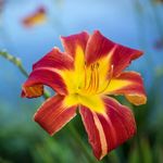 Tara Crow - @tarainpix365 - Instagram