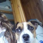 tara crowe - @crowep20 - Instagram