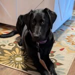 Tara Culbert - @tmculb - Instagram