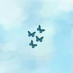 Taraculbert123 - @taraculbert123 - Instagram
