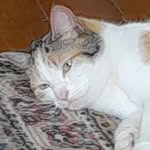 taracupples - @taracupples9 - Instagram
