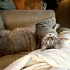 tara - @tara.cushing - TikTok