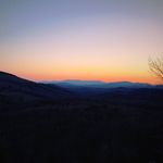 Tara Custer - @tara.custer - Instagram