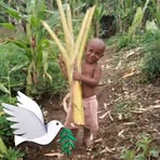 Kutz Tara - Facebook