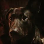 Tara Dambrosio - @tara_paige_dambrosio - Instagram