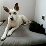 Damon's&Tara's life - @damonandtara - Instagram