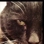 Tara Darcy - @tdarcy - Instagram