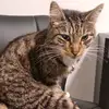 tara_darcy_78 - @tara_darcy_78 - TikTok