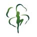 Tara Academy Darwin - Facebook