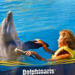 Tara Daugherty-Craver - @taradaughertycraver - Instagram