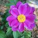 Tara Golladay Dellinger - Facebook