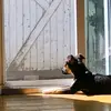 taradiamond381 - @taradiamond381 - TikTok