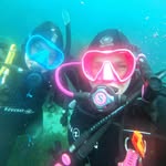 Tara Harrison - @diver_tara - Instagram