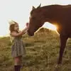 Tara Dodd - @tara.dodd6 - TikTok