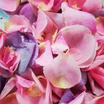 Tara M Doerr - @t.m.doerr - Instagram