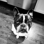 Tara Doggett - Facebook