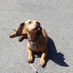 Tara Dollar - @tara_pharmers_market - Instagram