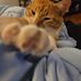 Tara Dodd - Facebook