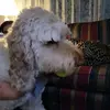 tara - @taraa.edelman - TikTok