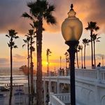 Tara Eldridge - @tarseldridge - Instagram