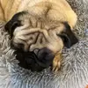 farmertara - @farmertara - TikTok