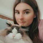 Tara Farmer - @catlady_tara - Instagram