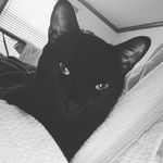 Tara Lynn Farmer - @tarafarmer9638 - Instagram