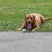 Tara Feher - Facebook