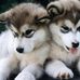 Tara File - Facebook