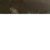 joanne - @tara.fish1 - TikTok